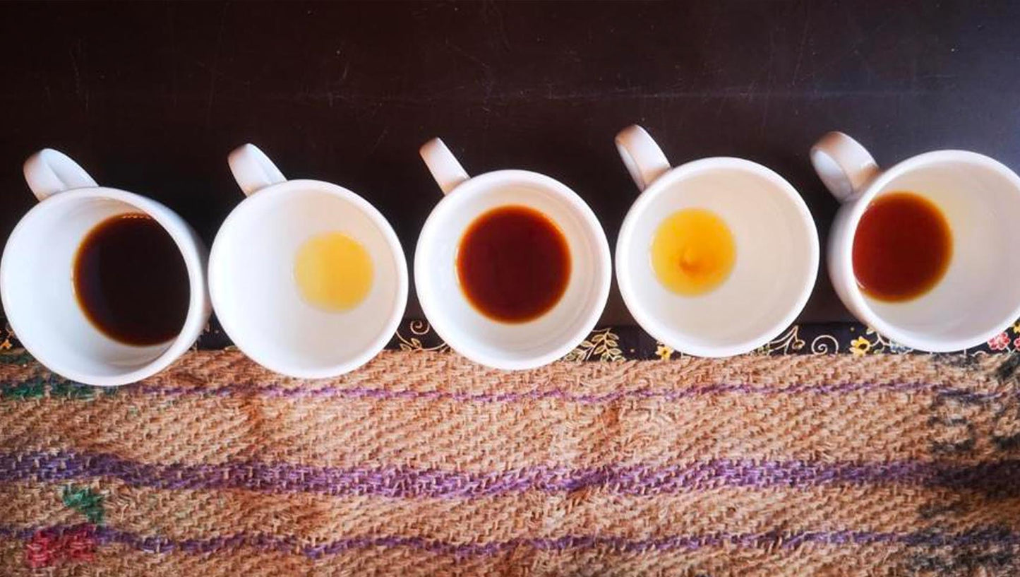 Kaffeeverkostung - Termine wieder ab Sommer 2025