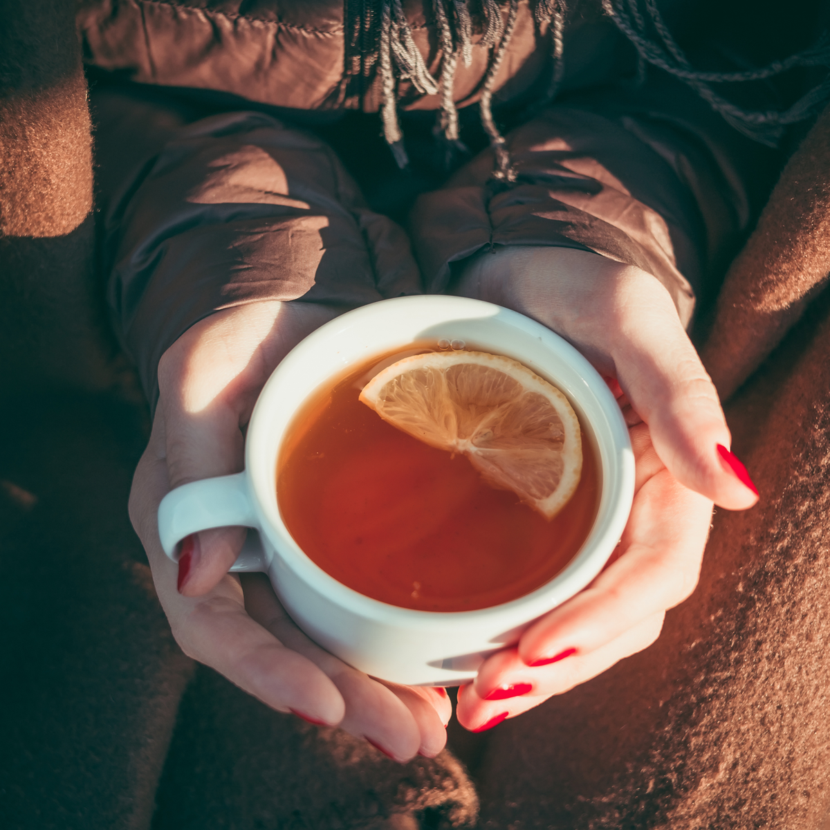 CASCARA - KAFFEEKIRSCHEN - TEE