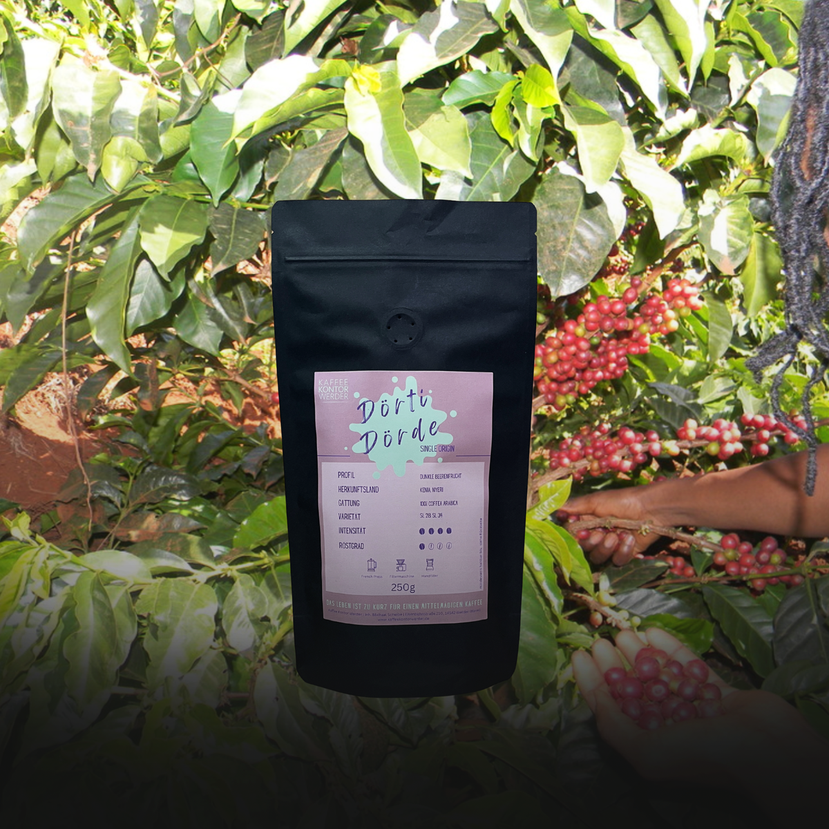 KENIA - PROJEKTKAFFEE KEDOVO - DÖRTI DÖRDE